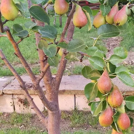 Appartamento Trakata Varna