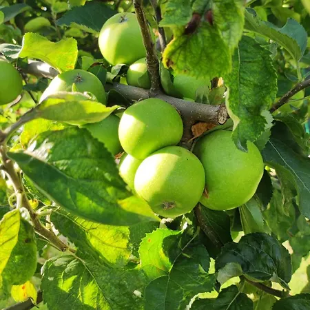 Trakata Appartamento Varna